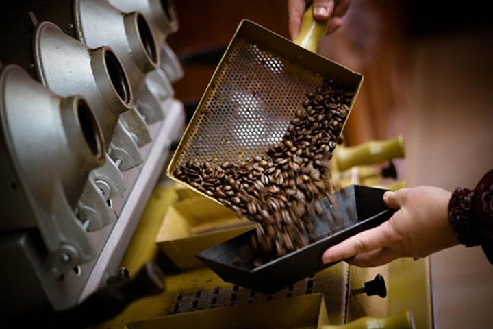 Britt Coffee Tour from San José - Photo 1 of 9